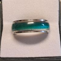 Anello in acciaio inox con inserto verde/blu