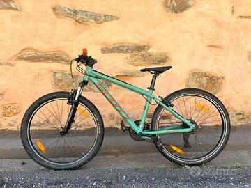 Scott Roxter 26 bimbo