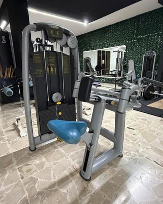 Upper back Technogym selection 
