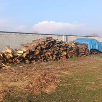 Legna Gaggia/Rovere/Castagno