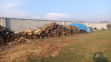 Legna Gaggia/Rovere/Castagno