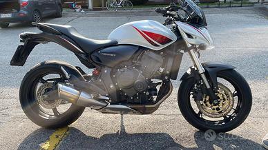Hornet 500