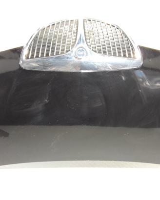 COFANO ANTERIORE LANCIA Musa 1° Serie 735384149 (