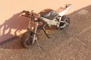 Minimoto Polini 910 Carena S