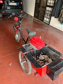 Triciclo elettrico per adulti