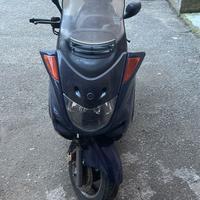 scooter majesty