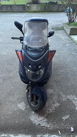scooter majesty