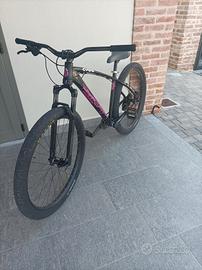 c100  v3 ( wheelie bike)