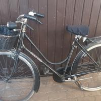 bici con freni a bacchetta 