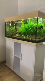 Acquario 200 litri