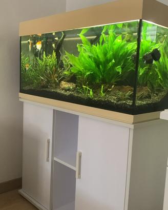 Acquario 200 litri