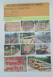 pali di castagno 