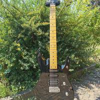 🔥 chitarra elettrica 🔥