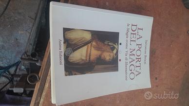 la porta del mago di Salvatore Brizzi