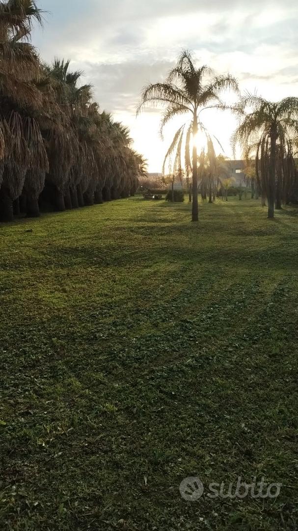 A f f i t t a s i TERRENO per attività di parco av - Vista 2