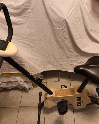 Cyclette Rizzato Afffare