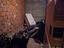 Immagine 12