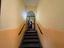 Immagine 21