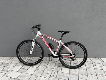 Bicicletta Ciclidoro