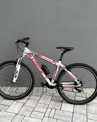 Bicicletta Ciclidoro