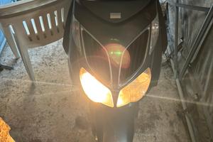 Agility sportcity 2009