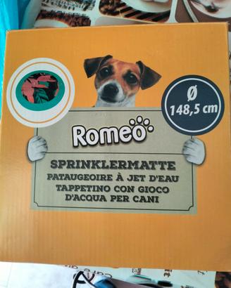 Piscina gioco cani