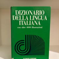 Dizionario della lingua italiana