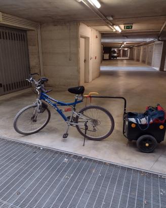 Bici con carrello 