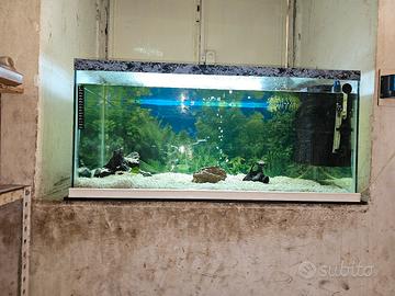 acquario 150 litri 