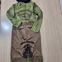 Costume di Hulk