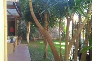 Unica casa in centro con giardino