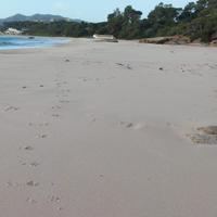 Sardegna -villa fronte mare inintermediari locasi
