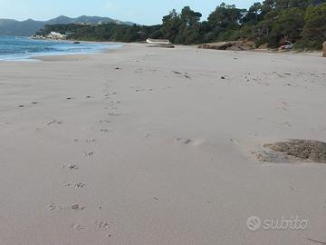 Sardegna -villa fronte mare inintermediari locasi