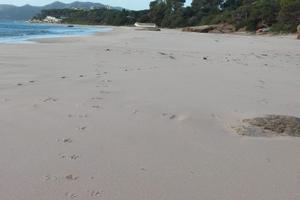 Sardegna -villa fronte mare inintermediari locasi