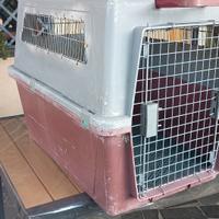 trasportino ferplast atlas 60