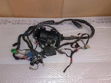 Impianto elettrico completo suzuki sv 650 2001