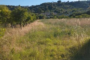 Terreno con rudere catastato
