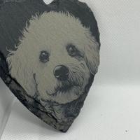 sottobicchiere in ardesia con cane 10x10