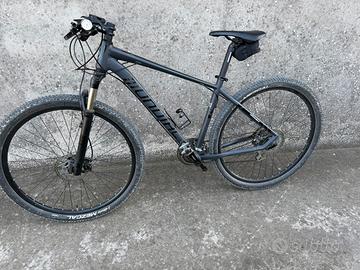 Bici mtb  uomo mondial M890