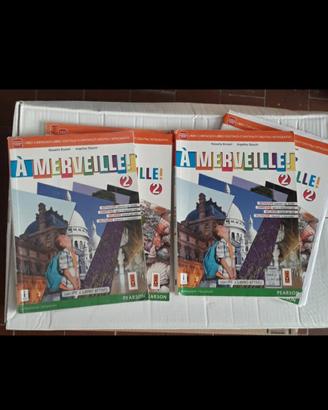 libro A Merveille 2