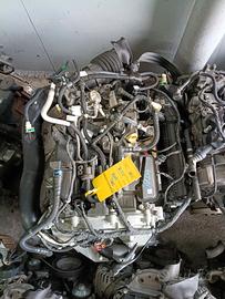 MOTORE T1DB 1.6TD FORD