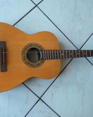chitarra acustica Eko