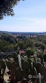 Terreno agricolo Fenile di Fano
