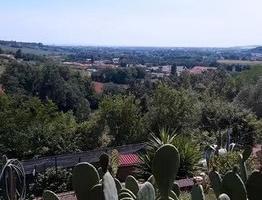 Terreno agricolo Fenile di Fano