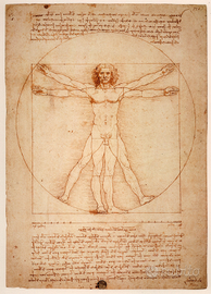 Impiegato con esperienza