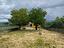 Immagine 26