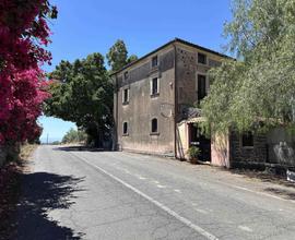 Rif.LF2| attivita'/lic.commerciale paterno'