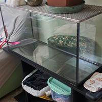 acquario ♒️  e mobiletto 