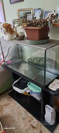 acquario ♒️  e mobiletto 