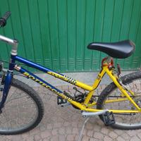 Bici mountain bike donna Bottecchia